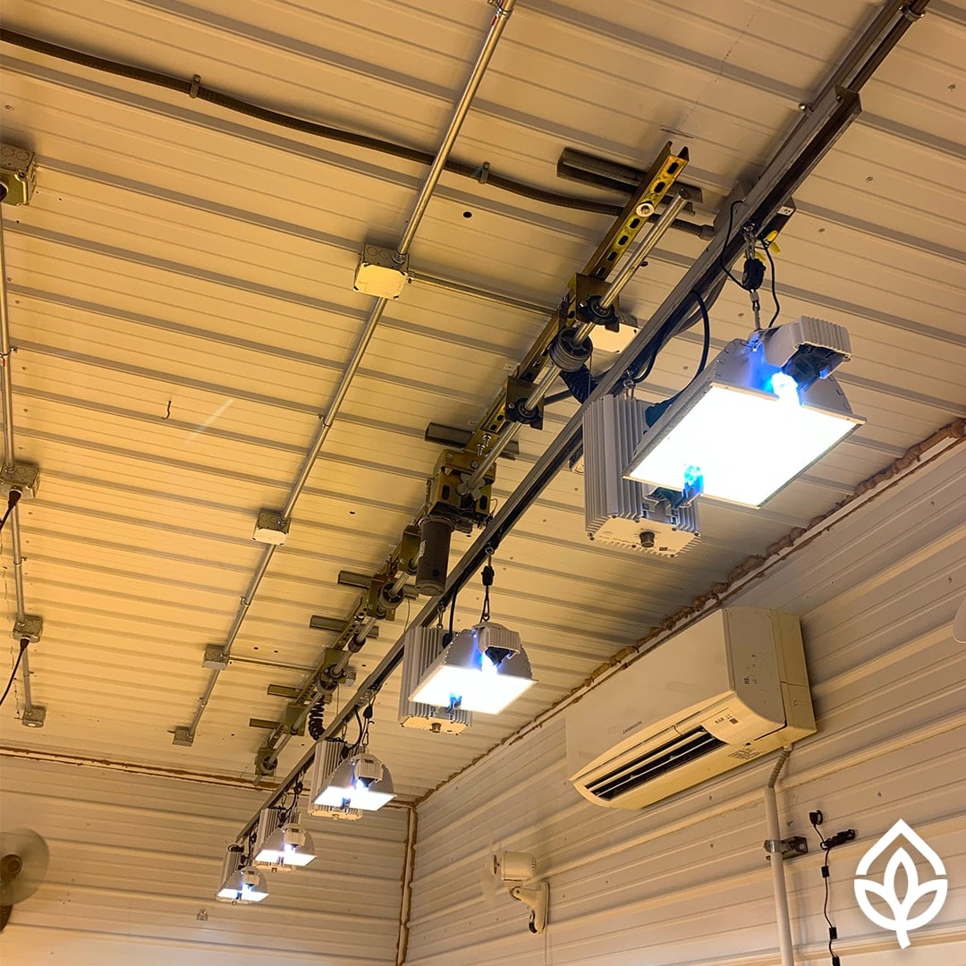 Grow Light Lift Installed at Ascension Farm
