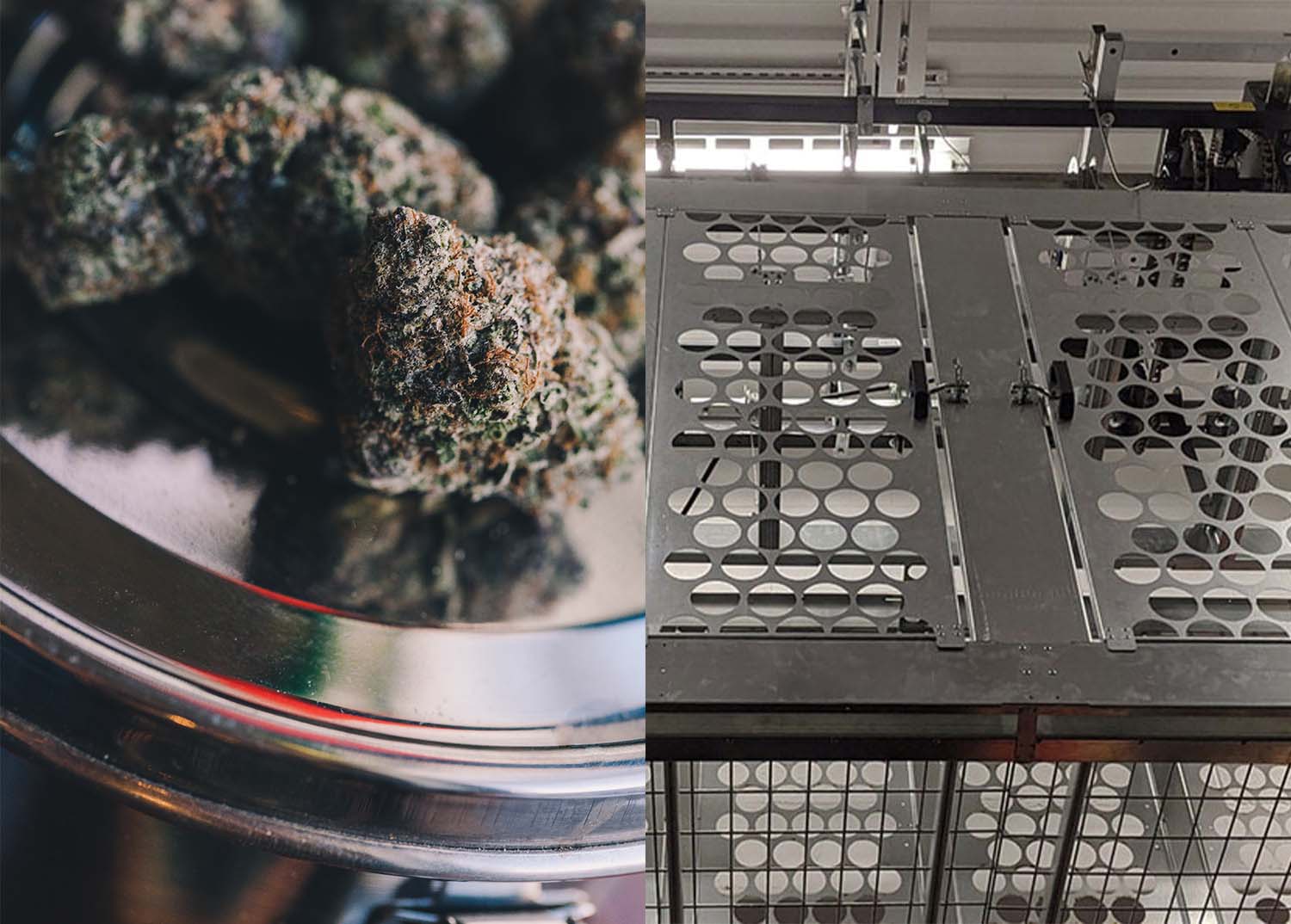 Create The Best Commercial Cannabis Storage Setup Now